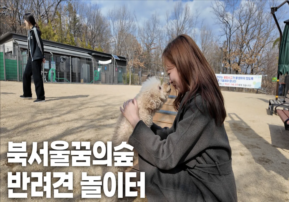 반려견 놀이터로 놀러오세요
