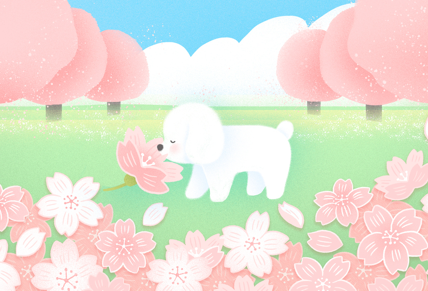 2026년 강북구 반려동물 관련 지원사업 안내